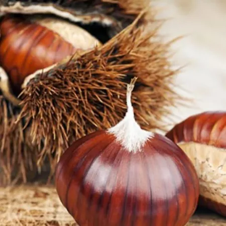 Prázdninový dům Puydepont - 10 Personnes 3 Personnes Attenant -